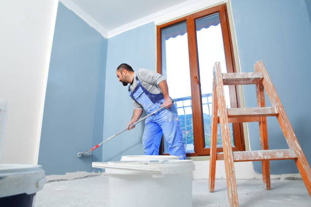 Best Mold Damage Restoration  in Bedford Heights, OH