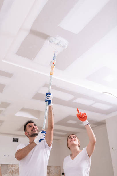 Best Forensic Mold Investigation  in Bedford Heights, OH