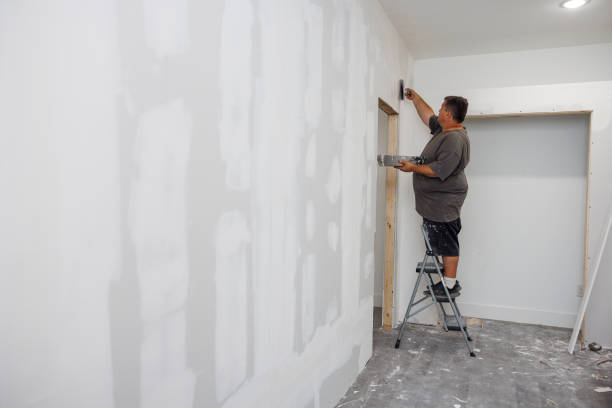 Best Commercial Mold Inspection  in Bedford Heights, OH