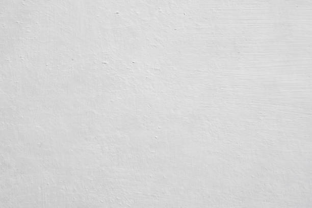 Best Attic Mold Removal  in Bedford Heights, OH