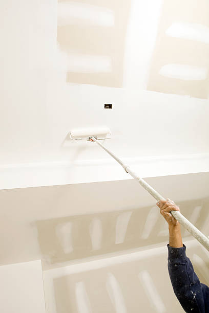Best Basement Mold Removal  in Bedford Heights, OH