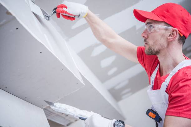 Reliable Bedford Heights, OH Mold Removal Solutions